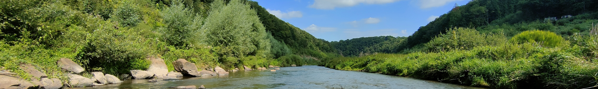 On-line videos : Update on the monitoring of the Selune dams removal