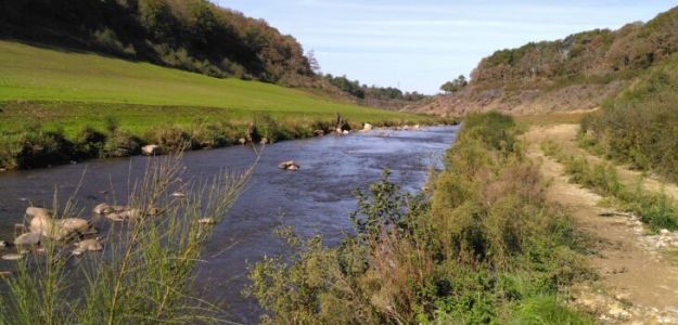 Sélune et Bois d'Isigny en aval de la confluence avec le Lair