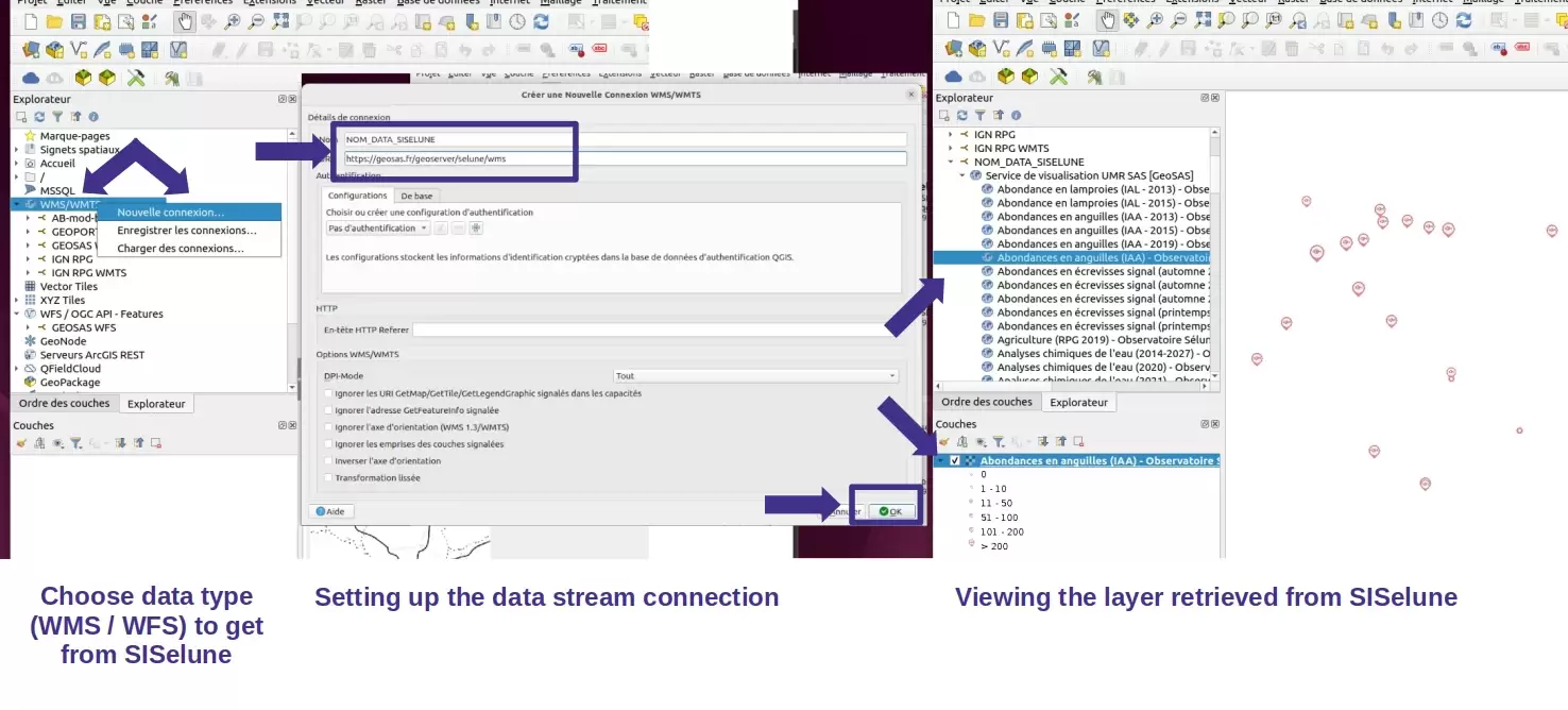 Description of how to add SISelune data to QGIS from the SI