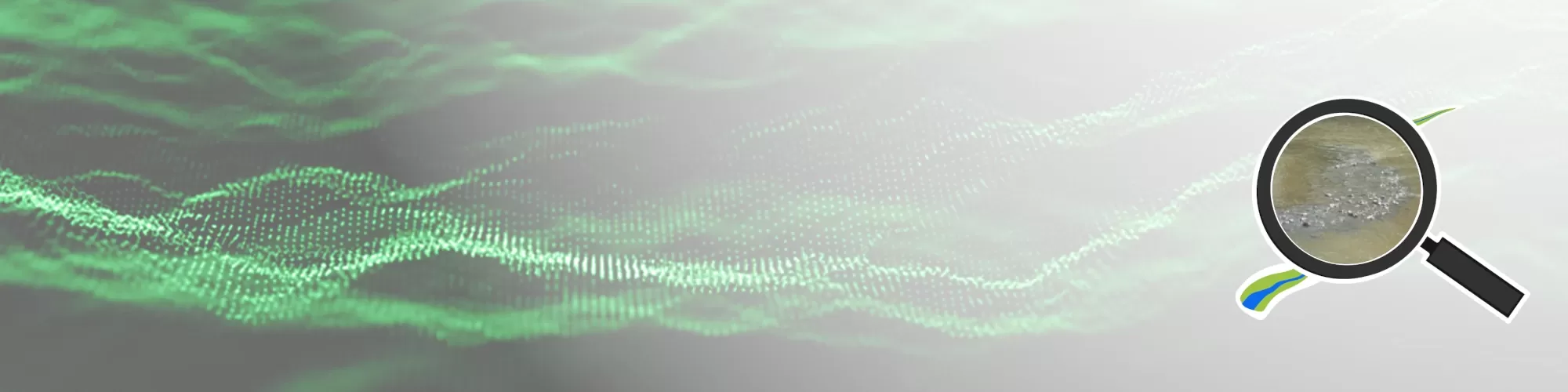 actu sur les données de frayères de lamproies marines