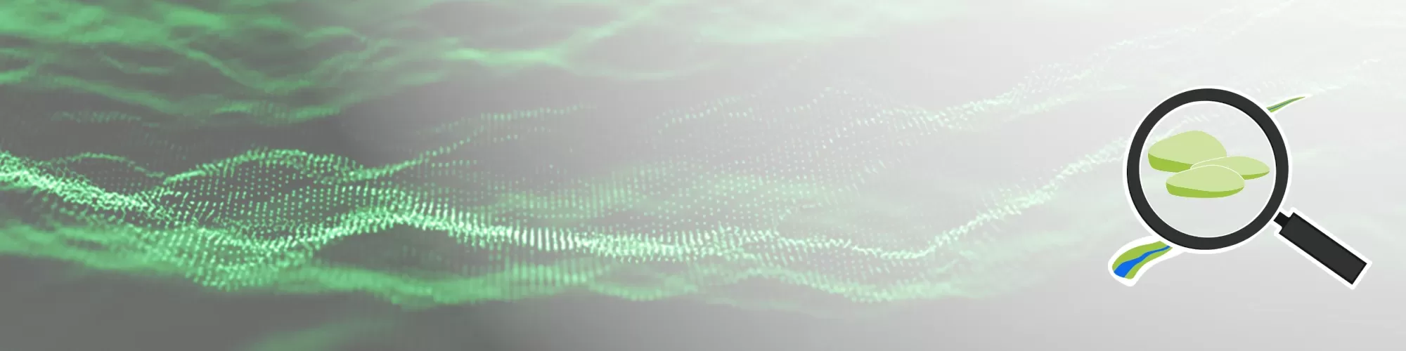 zoom sur les données de frayères de lamproies marines