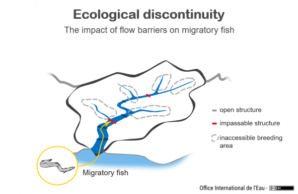 3_Illustration_DiscontinuitéEcologique_OfficeInternationalEau